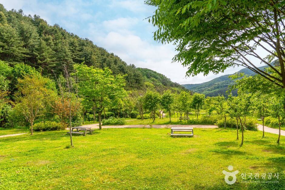 군포 가볼만한곳 베스트 10