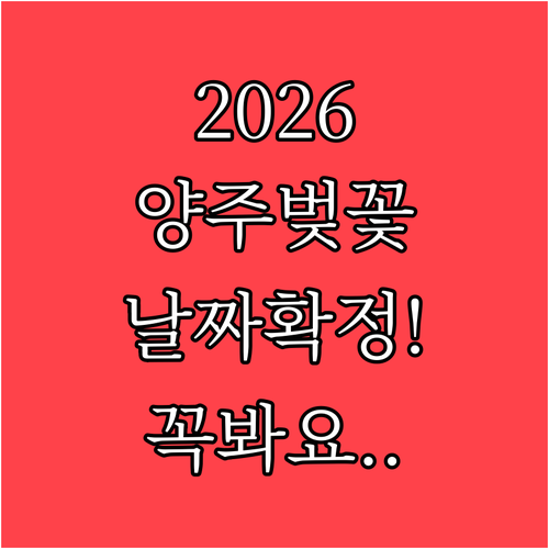 2026년 양주 벚꽃 개화 시기 및 ..