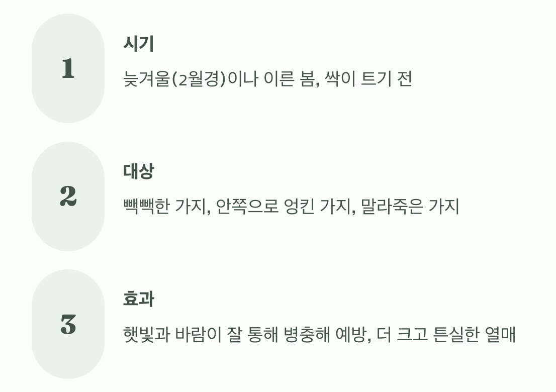 더 많은 수확을 위한 마법, 가지치기
