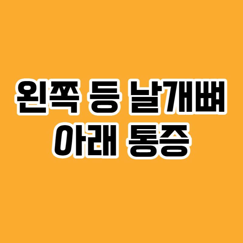 왼쪽 등 날개뼈아래 통증