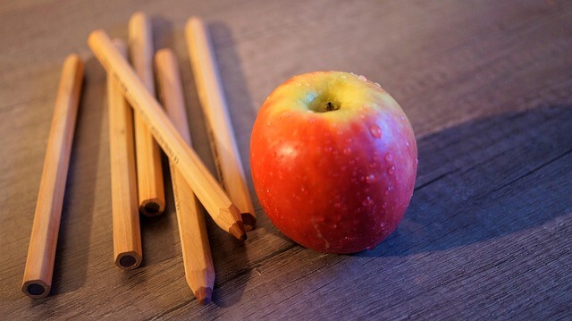 아이돌보미 자격증 취득 조건