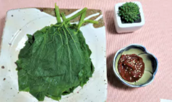 호박잎1