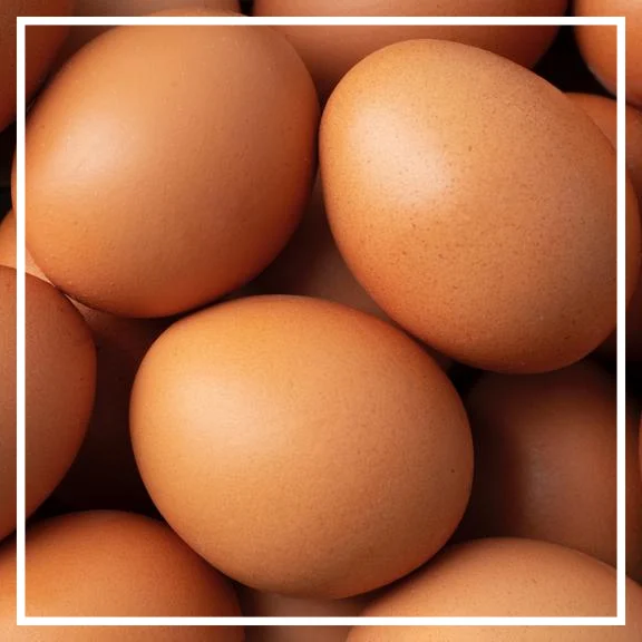 달걀 난각번호 보는법