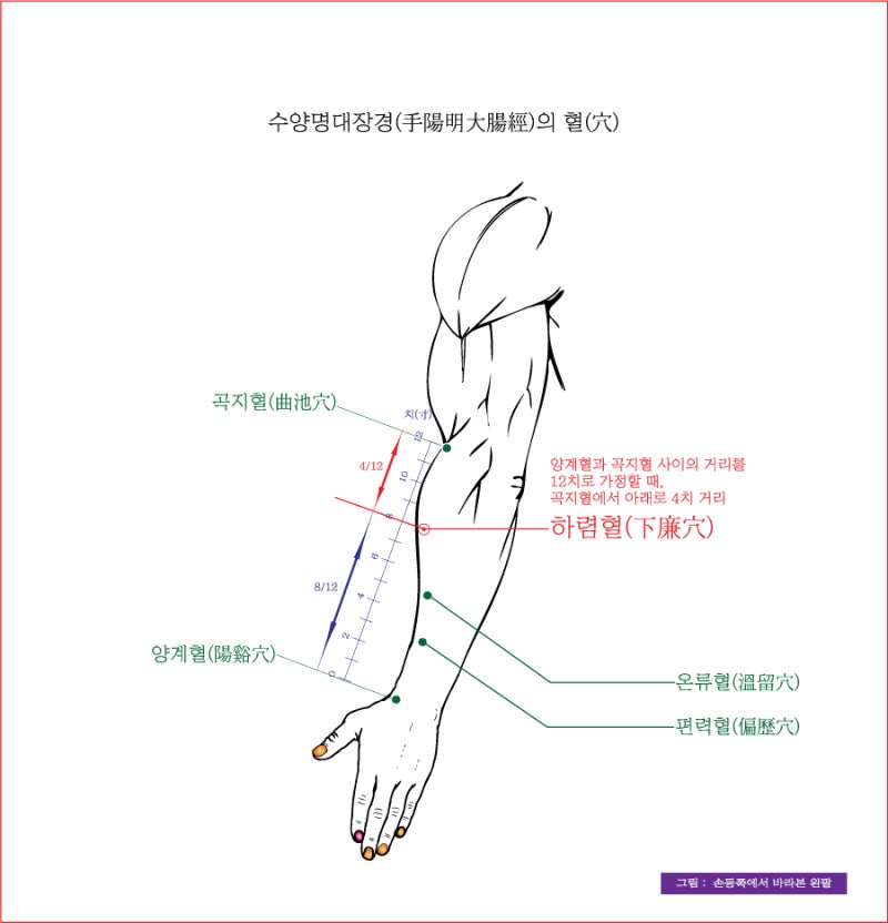 하렴혈