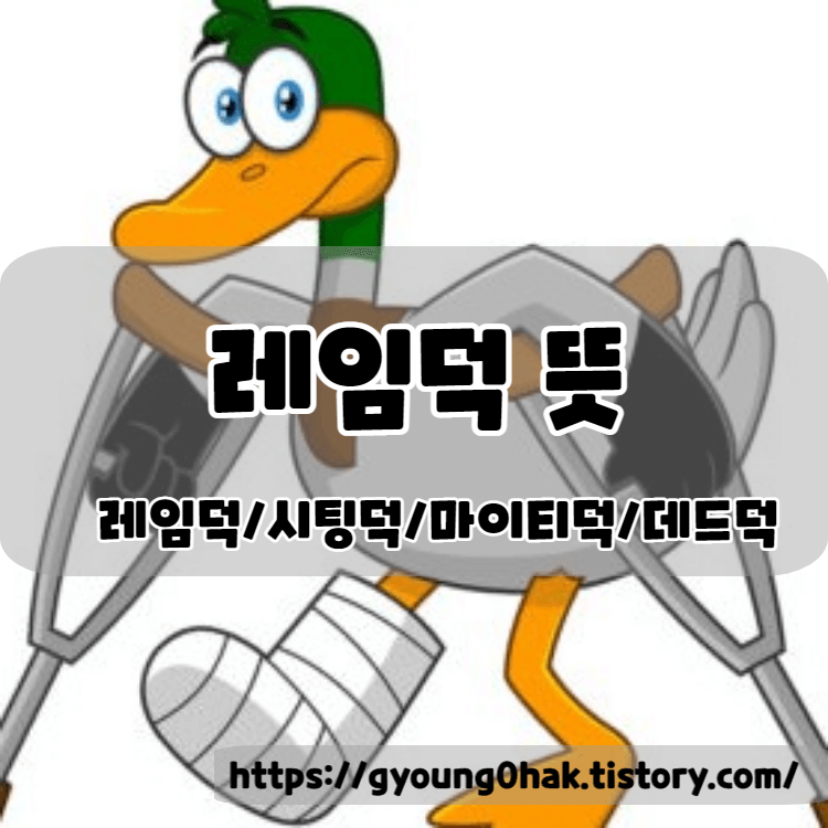 레임덕 시팅덕