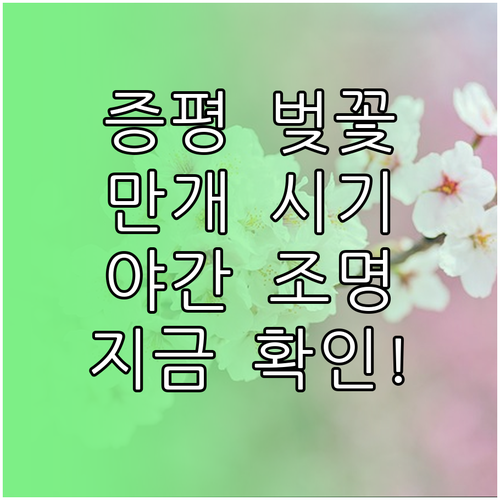 2026년 증평 벚꽃 만개 시기 및 ..