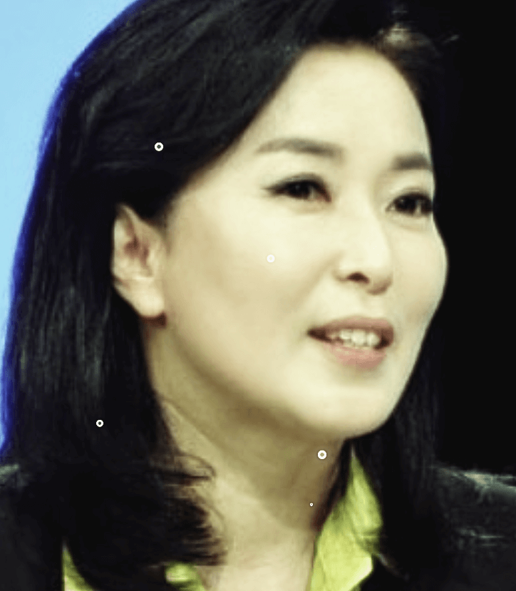 김민전
