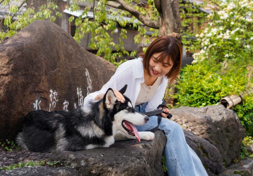 반려동물 실비보험 상담 받는 후 보호자와 행복해 하는 강아지