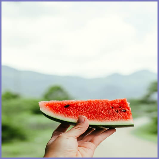 수박-효능