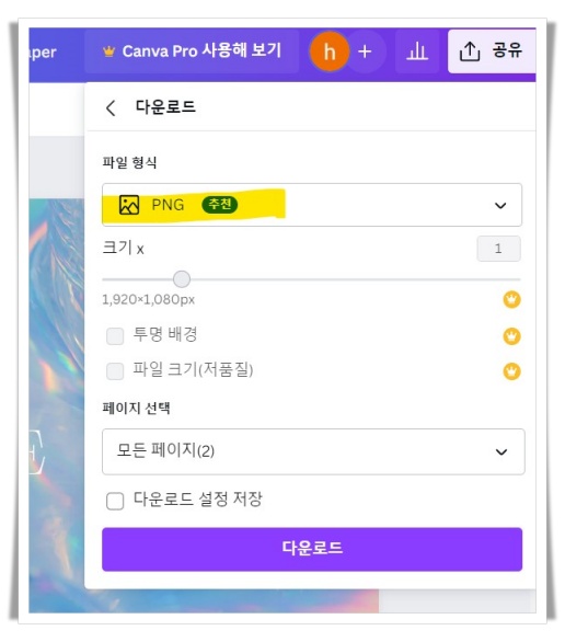캔바 파일 종류