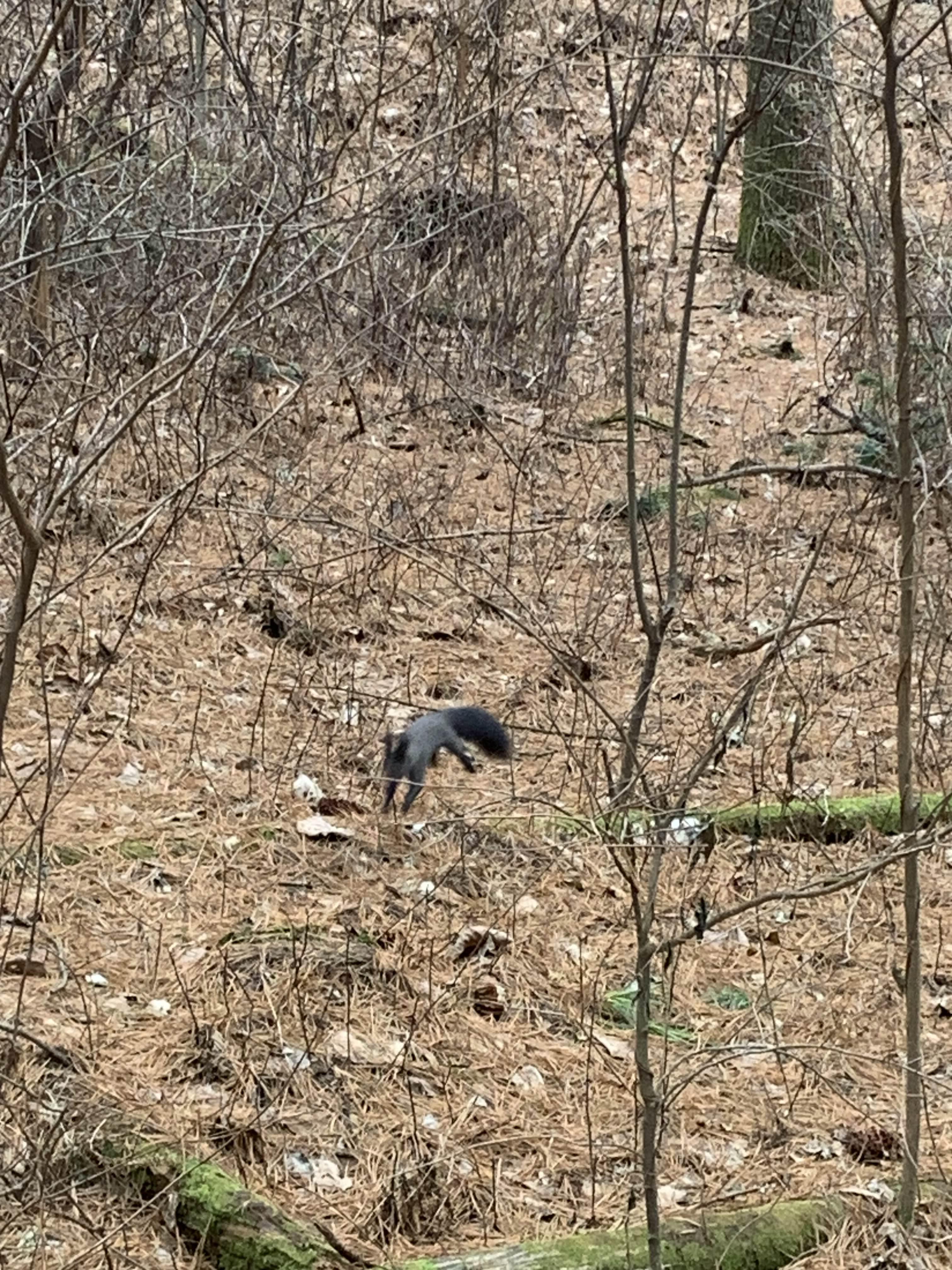 횡성 여행 청태산 자연휴양림
