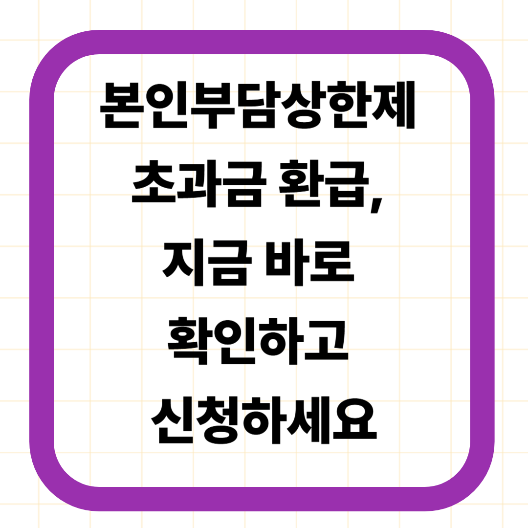 본인부담상한제 초과금 환급, 지금 바로 확인하고 신청하세요