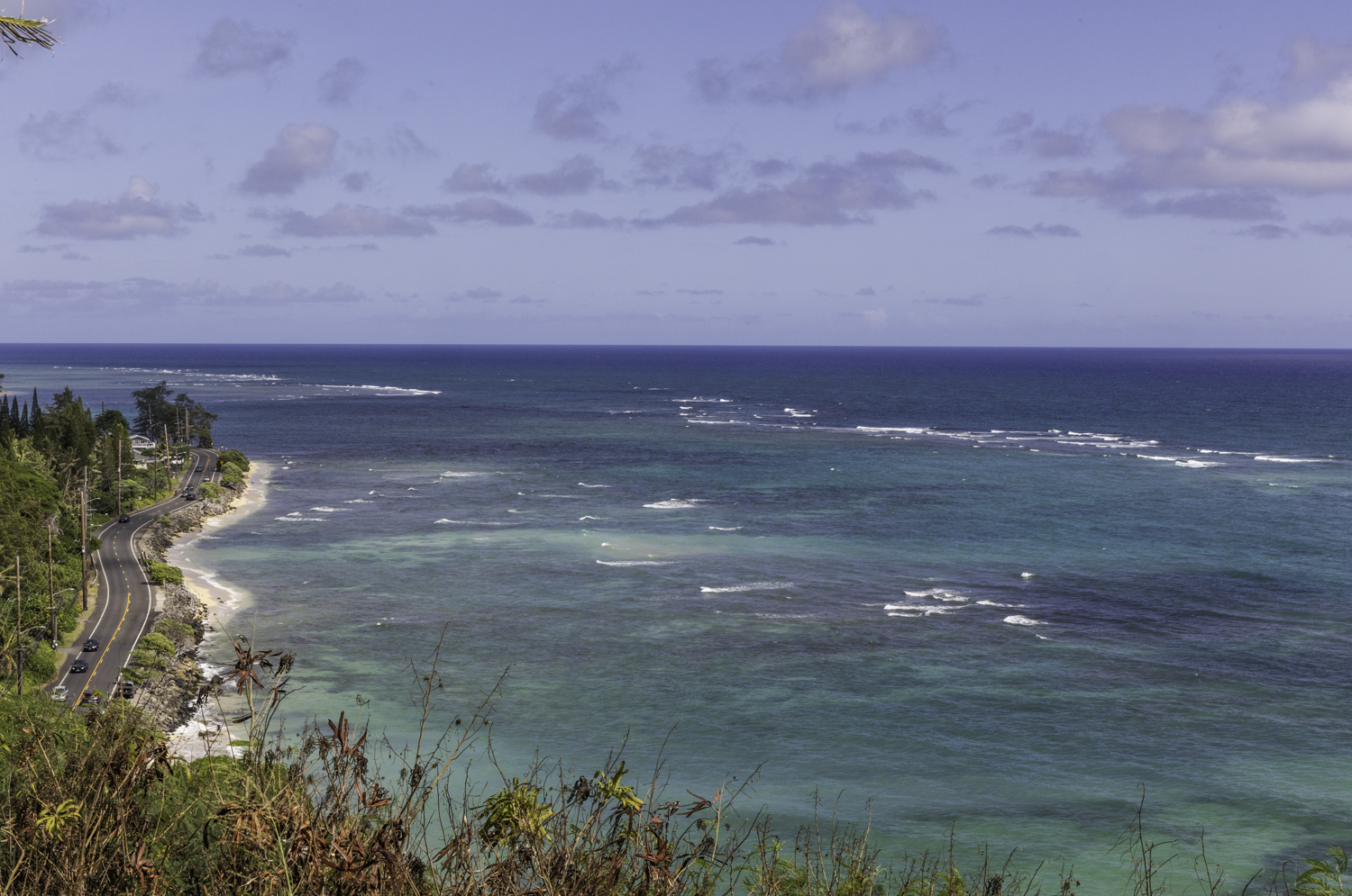 쿠알로아랜치 무비 사이트 투어 혹등고래 포인트