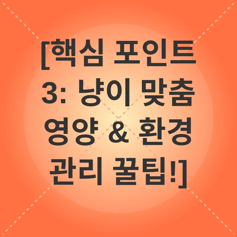 고양이 건강 관리_3