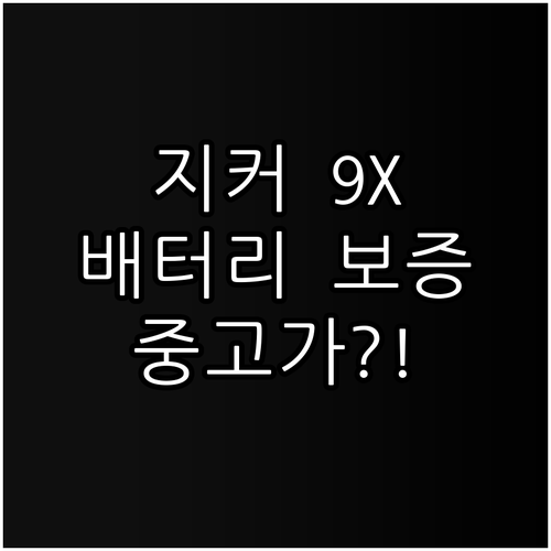 지커 9X 중고 가격 결정하는 배터리..