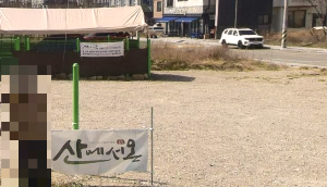 산에서온 삼계탕과 낙지