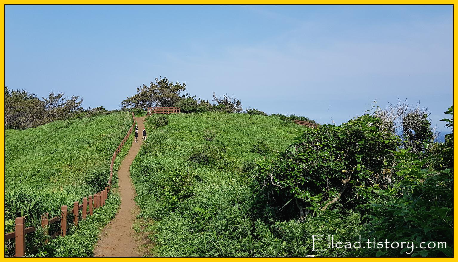 전망대 가는 길