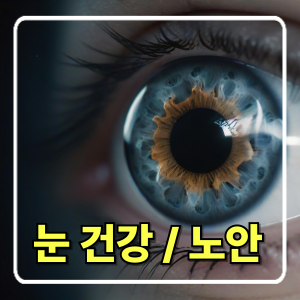 중년의 눈 건강과 시력 보호 방법