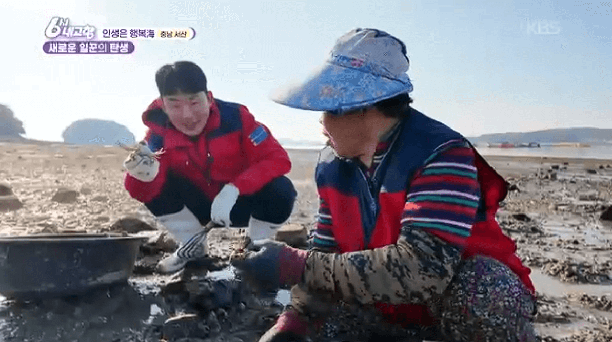 [6시내고향]충남 서산 해상 좌대낚시 고려호 창리해상펜션 바지락 해뜨는천수만 예약 연락처 위치 정보를 자세히 알려주는 이미지입니다.