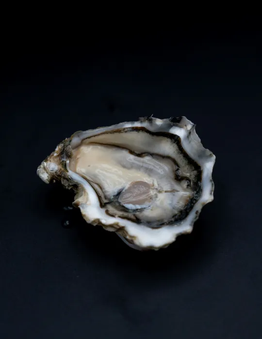 반으로-가른-굴-사진