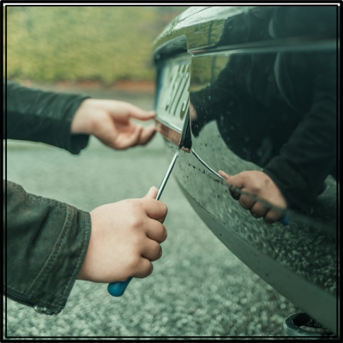 연두색 번호판 자동차