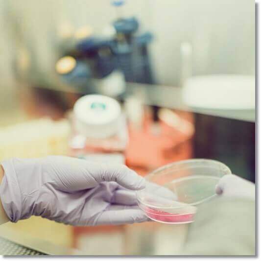 저칼슘혈증 수치 검사 하는 연구원