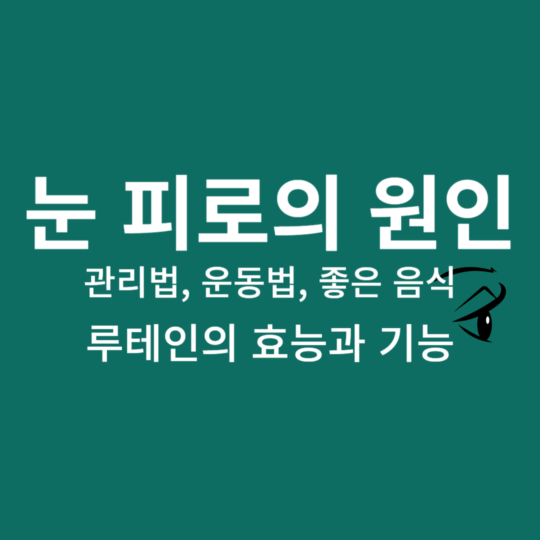눈 피로의 원인, 관리법,운동법,좋은음식,루테인의 효능과기능