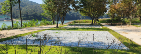 여주 강천섬 캠핑장