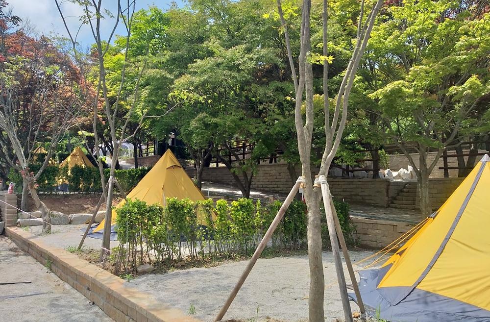 선운산 국민여가캠핑장 소개