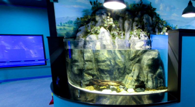 단양 아쿠아리움