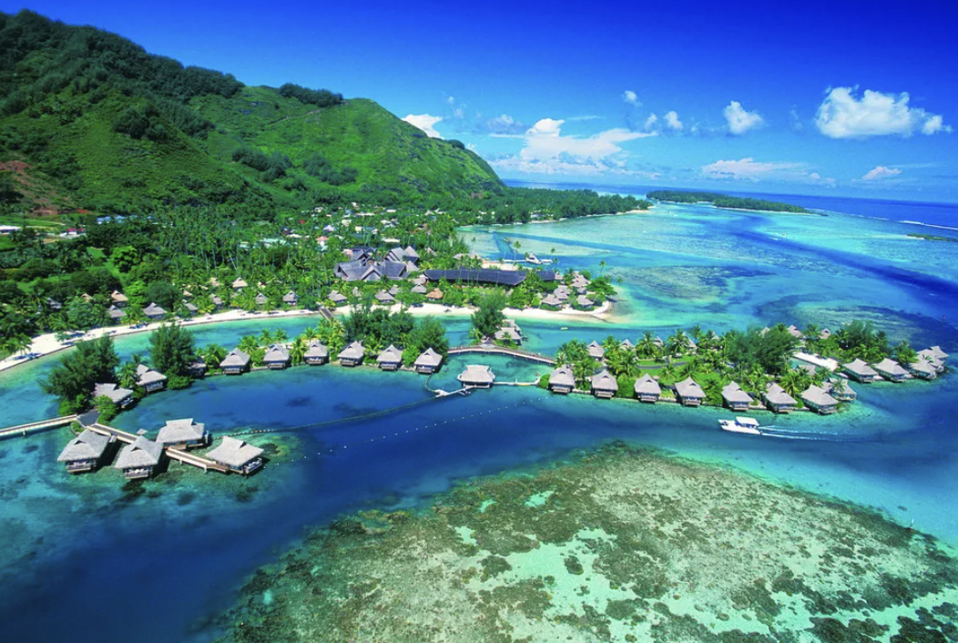 파리올림픽 타히티 서핑경기