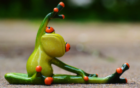 요즘 뜨는 이색 반려동물, 양서류 열풍