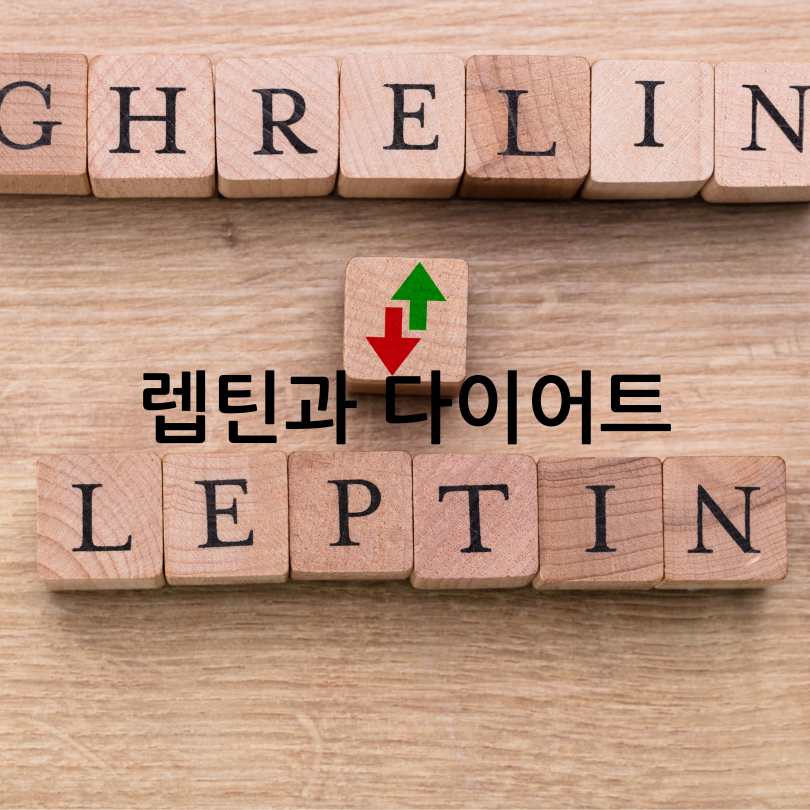 렙틴 저항성과 인슐린 저항성 차이점