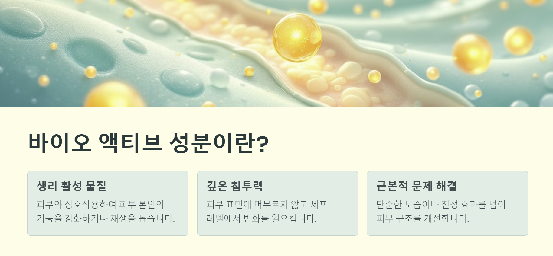 바이오 액티브