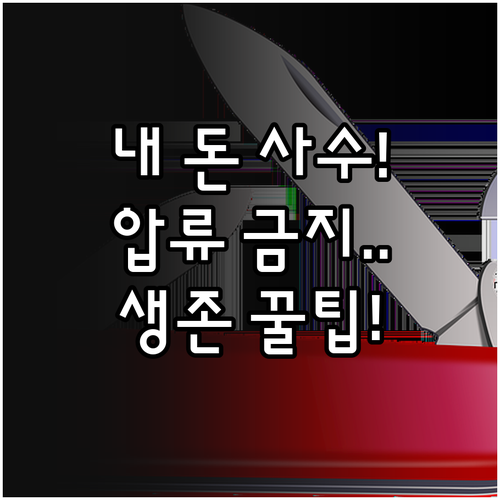 파산 절차 중 생활비 지키는 법과 압..