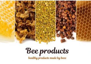 프로폴리스 추천