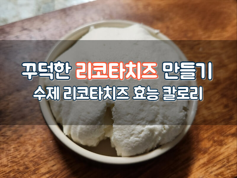 리코타치즈만드는법 유청으로 리코타치즈 만들기 효능 칼로리 다이어트
