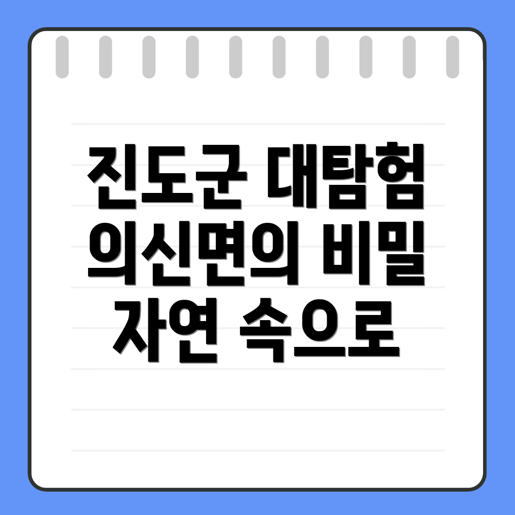 진도군 의신면