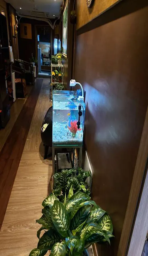 힐링타이 영화점