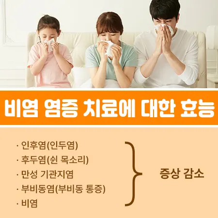 세라펩타제 비염 치료