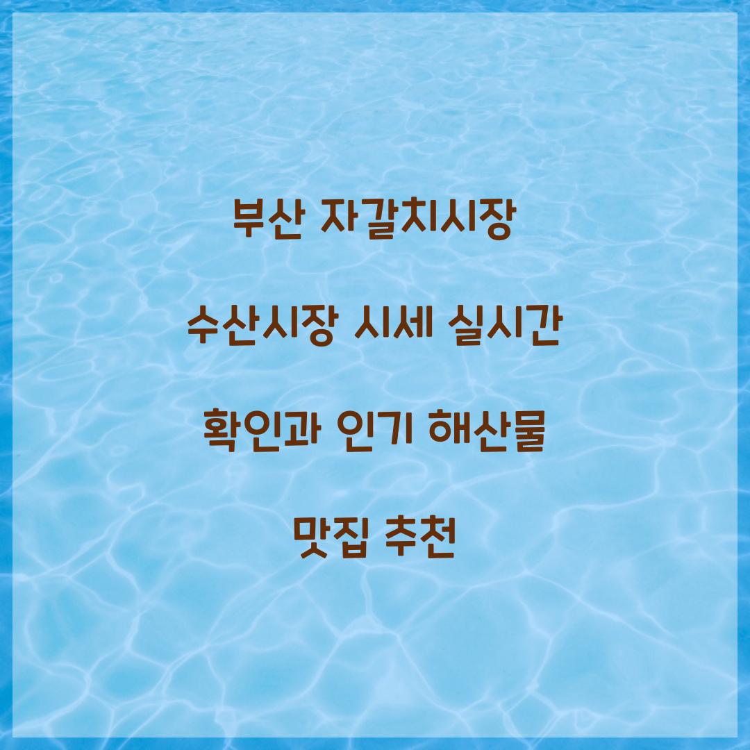 부산 자갈치시장 수산시장 시세 실시간 확인