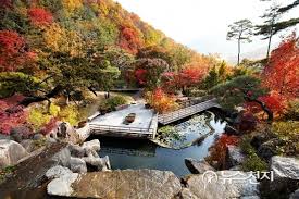 모노레일 단풍