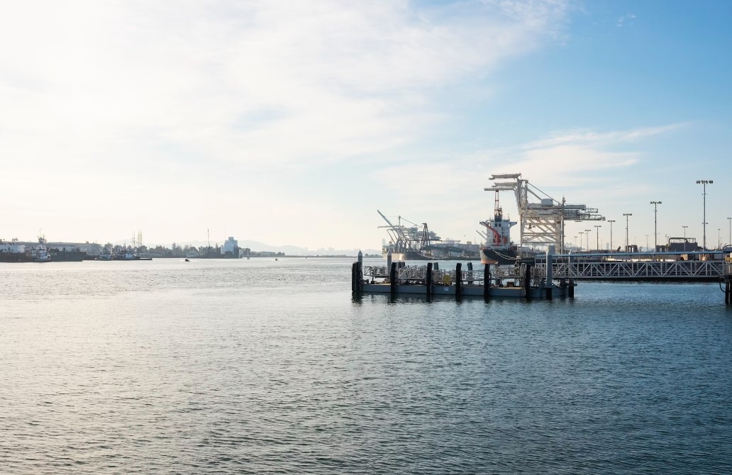 수입 물품 검역 및 검사 절차 이해하기