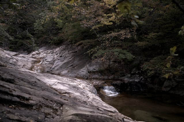 우이동 계곡 바가지요금