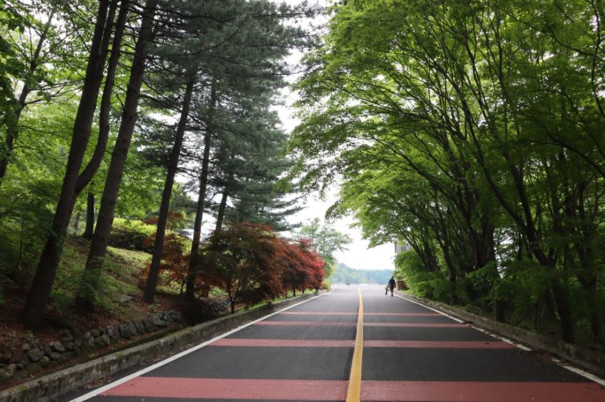 서울 근교 드라이브 코스