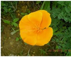 금영화 이미지 사진