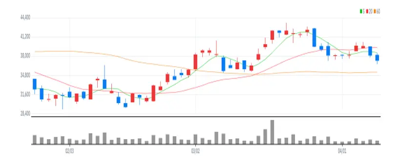 위지윅스튜디오 차트