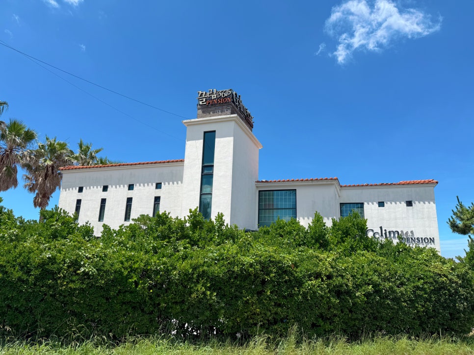 제주도 게스트하우스 끌림365