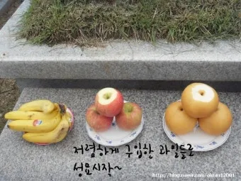 산소 갈 때 준비할 음식 상차림 복장 완벽한 가이드_2