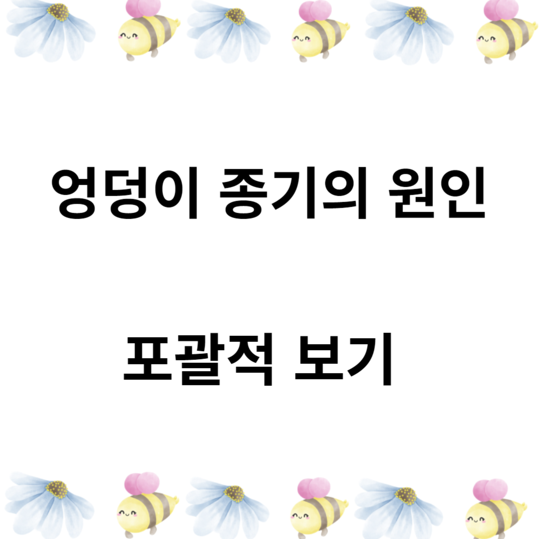 엉덩이 종기의 원인 파악 : 포괄적 보기